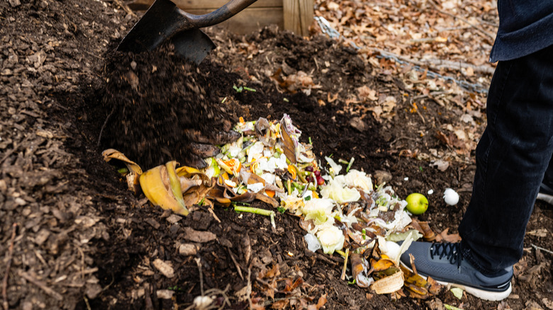 Putting compost straight in a trench