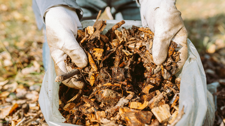 Putting mulch in garden bed