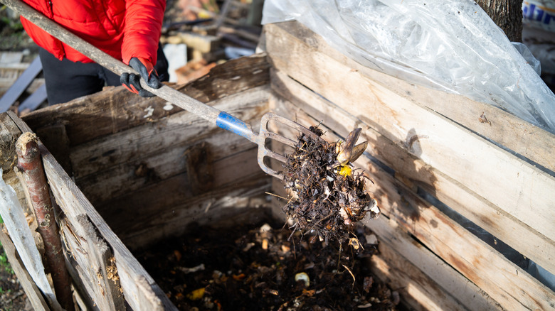 Turning a compost heap with a garden fork