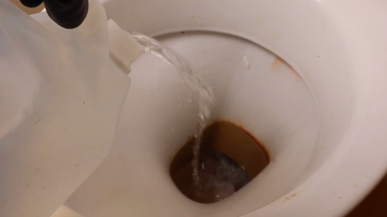 Hand pouring white vinegar down an empty toilet bowl