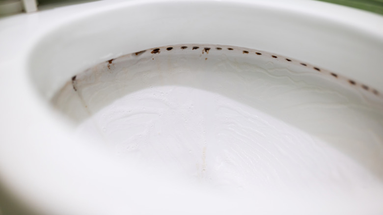 Dirty rim holes under toilet bowl rim
