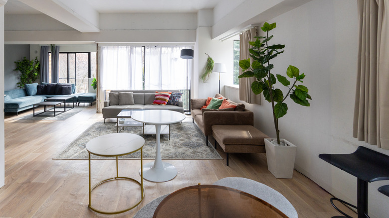 Large living room with multiple seating areas