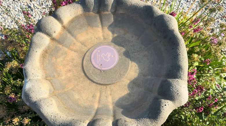 Copper disk at bottom of stone bird bath