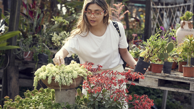 woman shopping in plant nursery