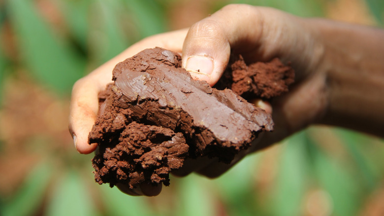 A person holds a clump of clay soil.