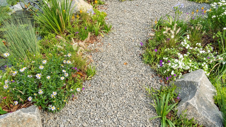 A path winds through a rock garden with groundcover