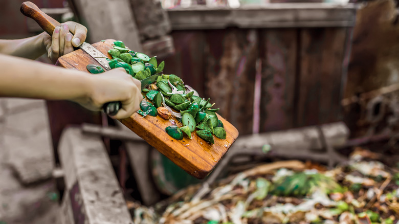 Woman scrapes kitchen scraps into compost.