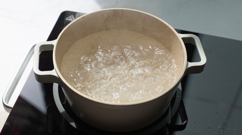 Large pot of boiling water on an induction cooktop.