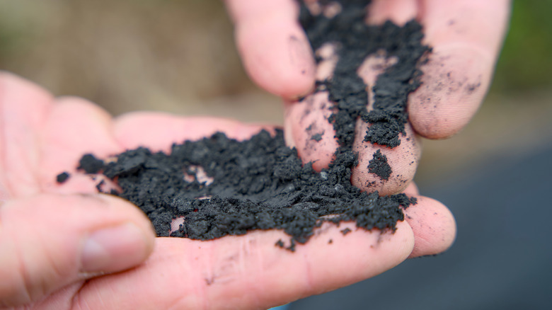 A close-up of a person sifting through biochar with their hands