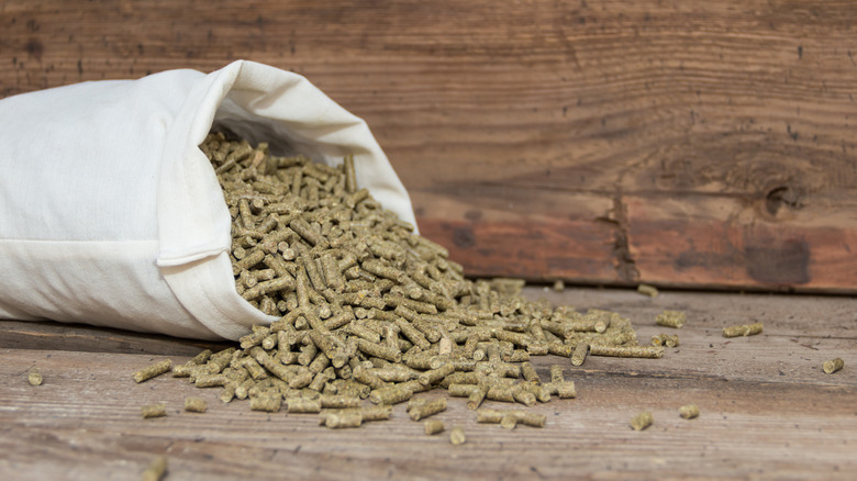 Alfalfa pelletings in bag