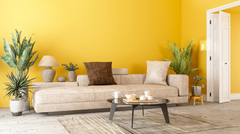 Yellow wall paint in neutral living room