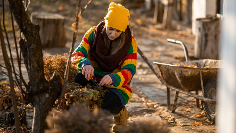 Woman working in garden