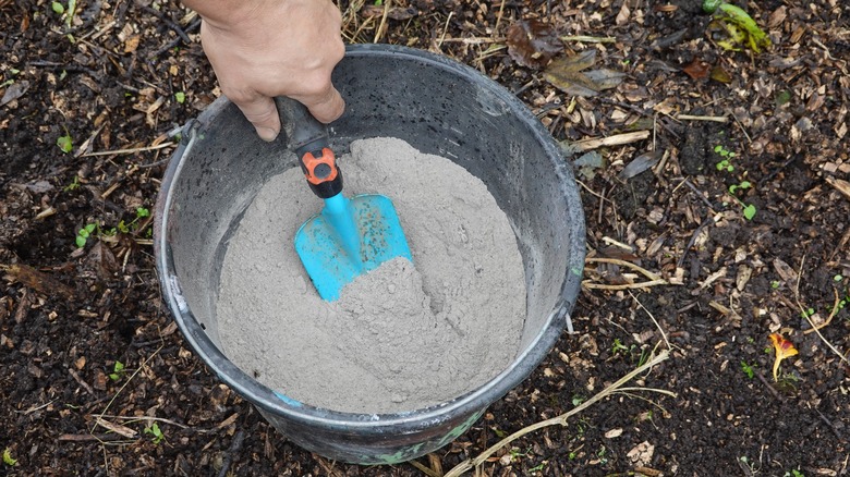 a gardener adding wood ash to the garden soil
