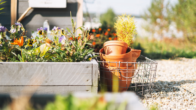 A raised bed full of flowers with pots and other gardening materials beside it