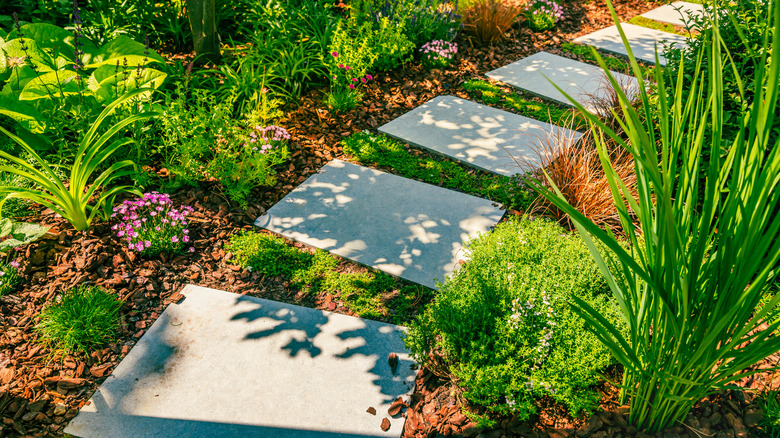 A lovely landscaped garden with paving stones, different plants and bark mulch