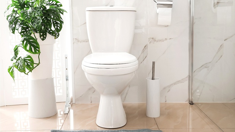 clean white toilet 