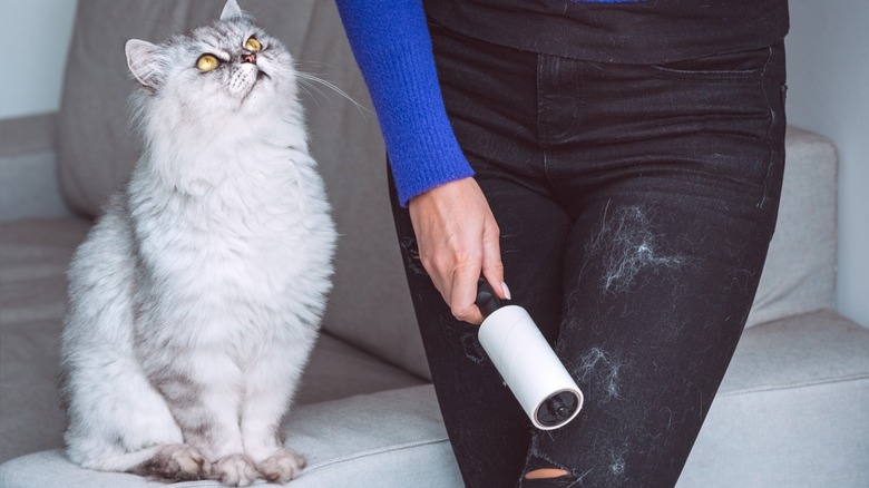 woman removing cat hair with lint-roller