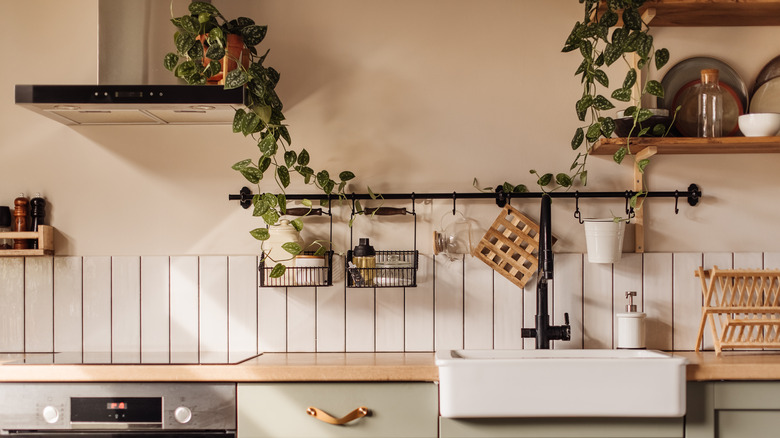 Kitchen sink, oven, stove, and hood with leafy vine trailing from hood to shelf
