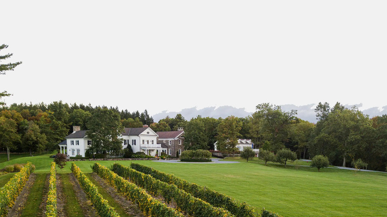 Hudson Valley vineyard home