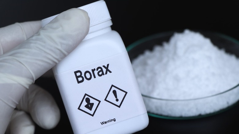 Bottle of borax powder