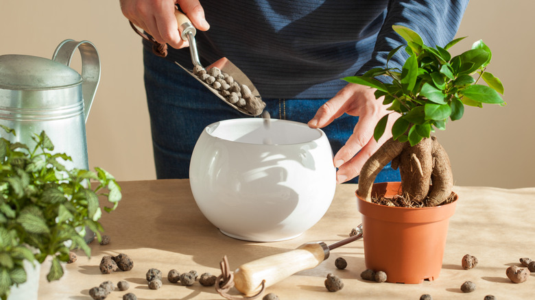 Man uses trowel to place LECA in a pot