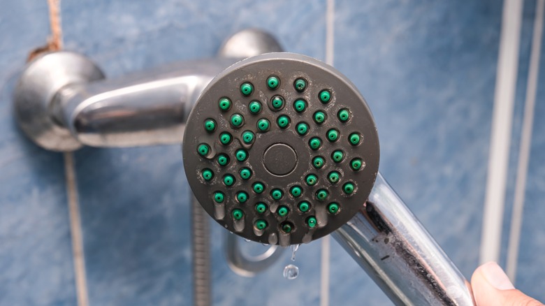 dirty shower head in bathroom