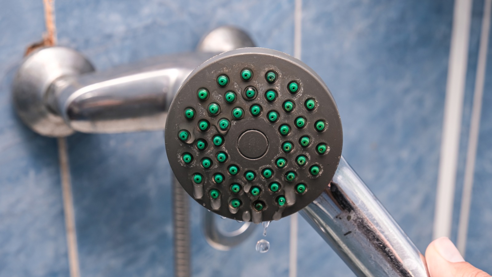 The Unexpected Product You Can Reach For To Clean Your Shower Head