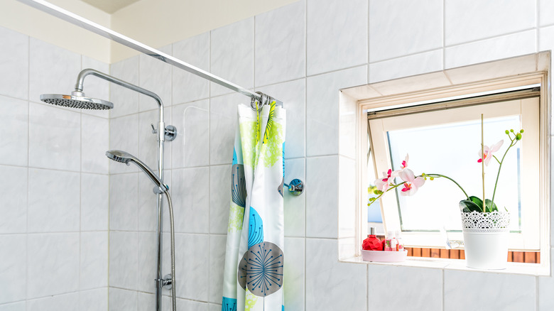 Shower head and curtain rod