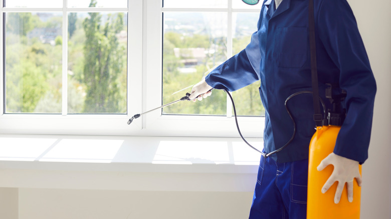 Male exterminator from pest control service wearing protective safety mask and blue workwear suit working inside house spraying toxic liquid or gas from yellow sprayer bottle over white window sill.