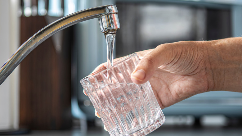 A glass being filled with tap water