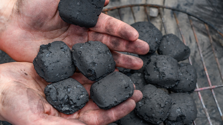 Hands holding charcoal briquettes