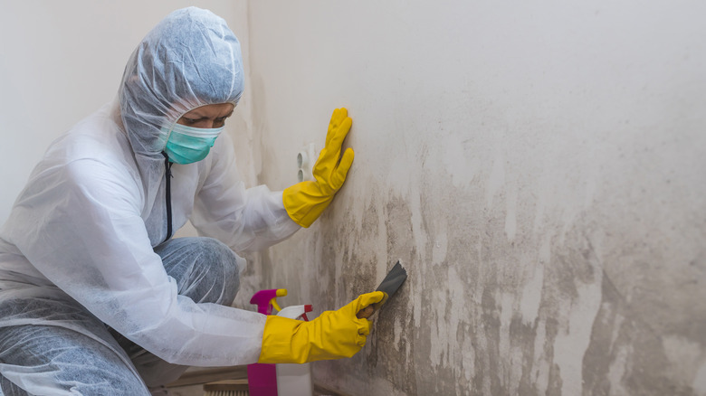 Woman in cleaning gear using a spackle tool to scrape debris off walls