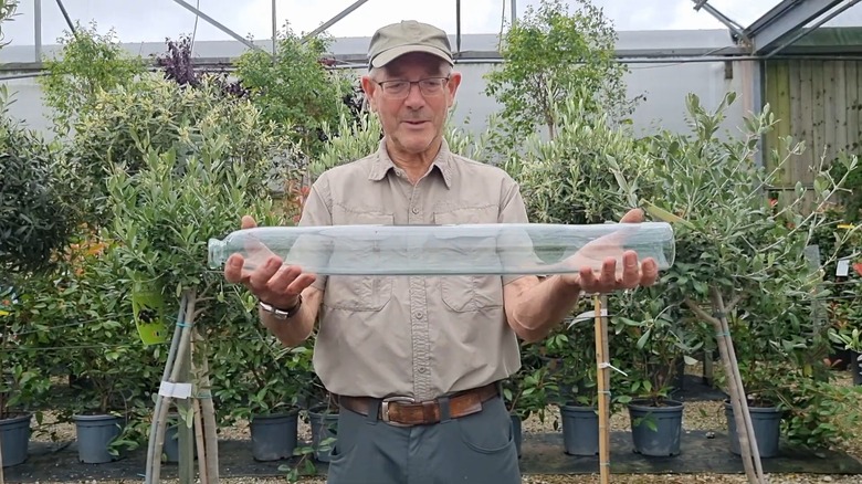 Man holding glass cucumber straightener