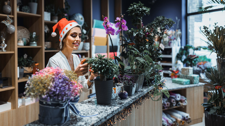 Plant shower owner wearing Christmas hat and looking at plants