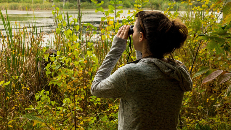 A woman uses binoculars to watch birds near a lake in her backyard.