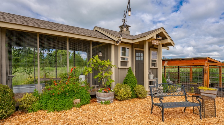 luxury chicken coop in backyard