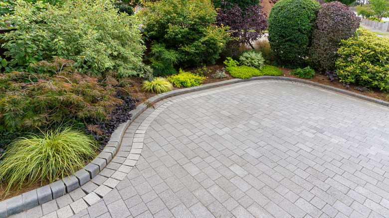 Perennial plants grow in a border near a driveway