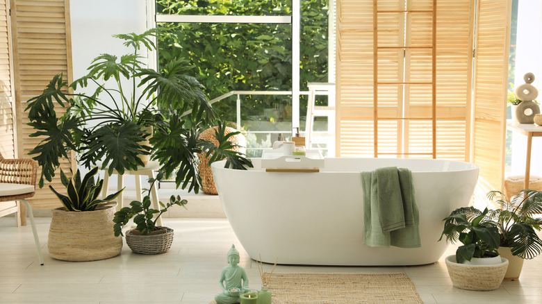 A luxurious bathroom with greenery near the tub