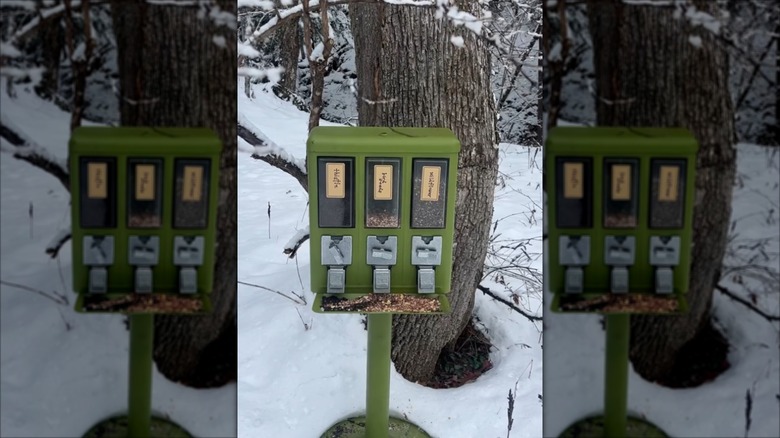 A bird feeder made from an old gumball machine