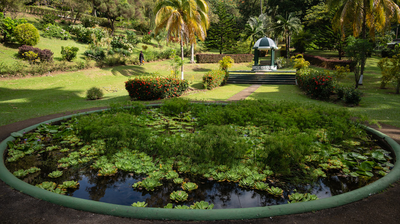 Green garden with a pond, plants, flowers, and a gazebo