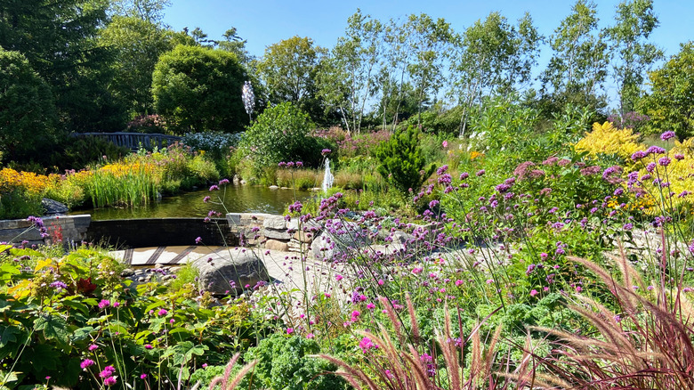 Coastal Maine Botanical Gardens pond view with flowers