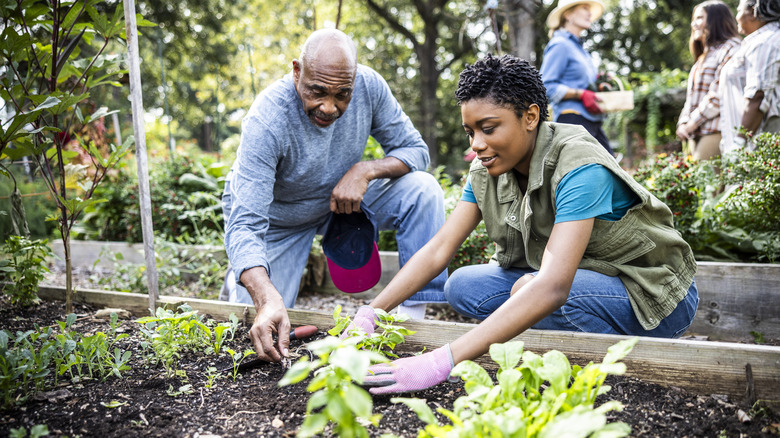 Two people working in the garden