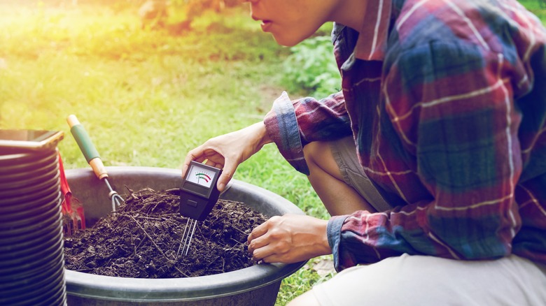 Woman tests soil