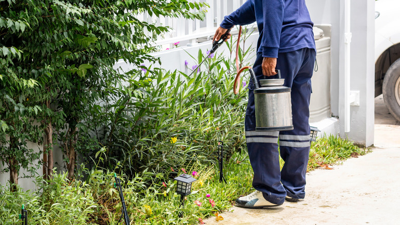 Man applying pest control spray outside a home