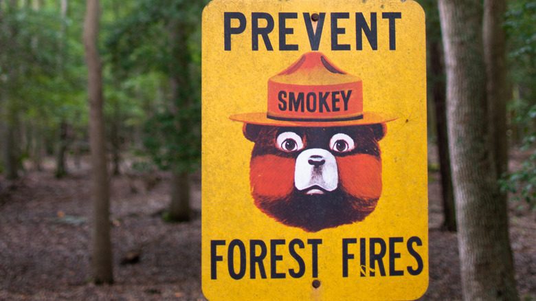 Smokey Bear forest fire sign