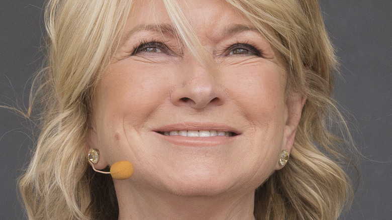 https://www.housedigest.com/img/gallery/the-unusual-tool-martha-stewart-uses-to-clean-up-after-gardening/intro-1682833126.jpg