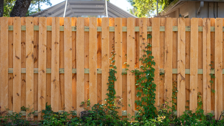 A new wooden picket fence