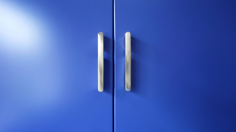 Blue doors appear to be a double set.