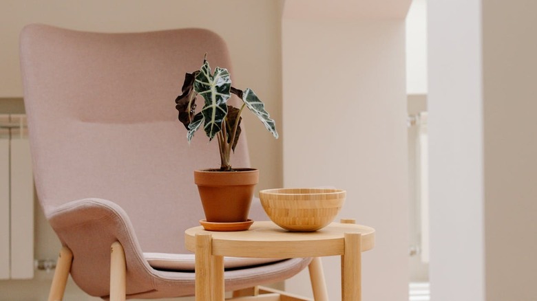 bowl on side table used as decor