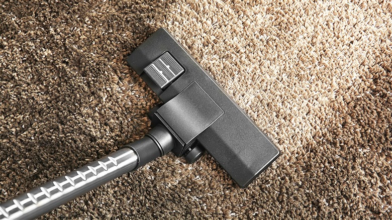 Vacuum pulling up carpet dirt